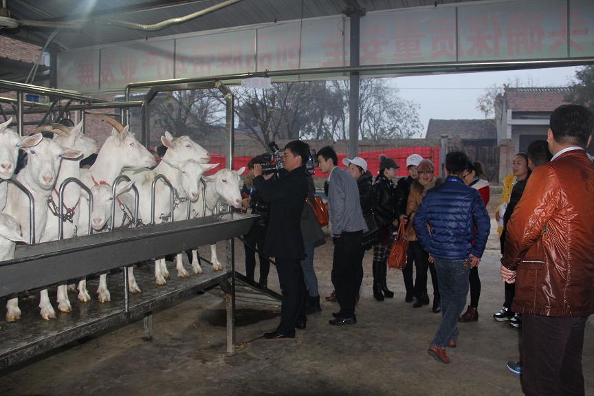 1-1512050Z025253 尊龙凯时·(中国)人生就是搏!