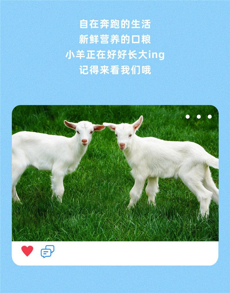 稿定设计-7.jpg