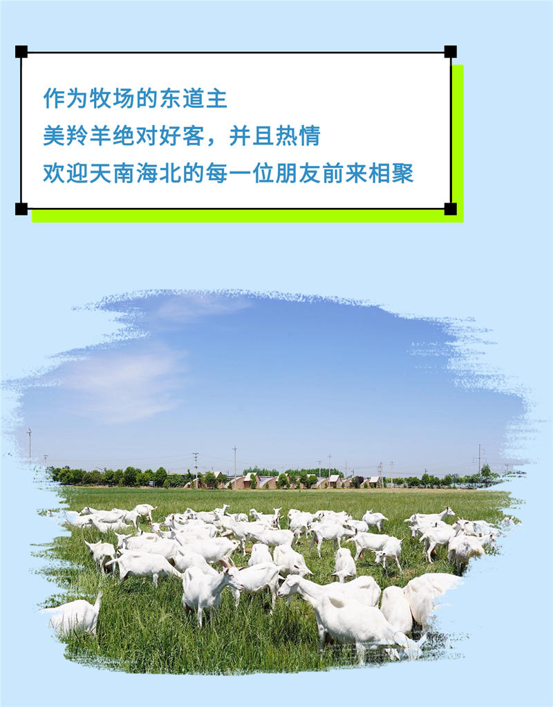 稿定设计-5.jpg